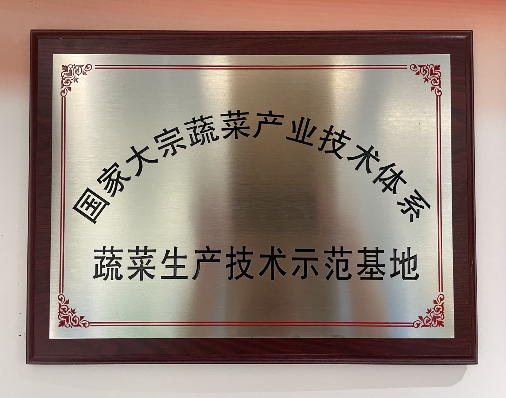 國家大宗蔬菜產(chǎn)業(yè)技術(shù)體系—蔬菜生產(chǎn)技術(shù)示范基地